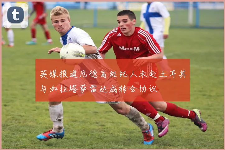 英媒报道厄德高经纪人未赴土耳其与加拉塔萨雷达成转会协议